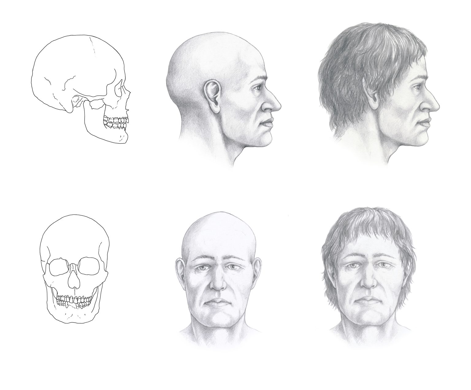Реконструкция лица по Хрустальному черепу